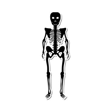 Cadılar Bayramı Tasarımları İçin Beyaz Arkaplanda Gölgesi Olan İskelet Etiketi. Vektör illüstrasyonu.