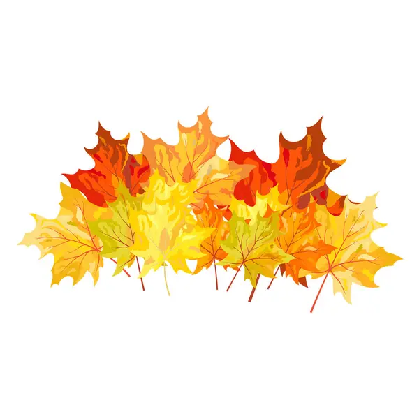 Autumn Element Creating Great Fall Design Vector Illustration — Stock Vector