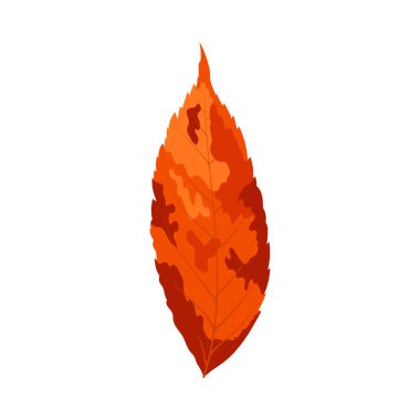 Sonbahar dişbudak ağacı yaprağı. Yaprak düştü. Vektör illüstrasyonu.