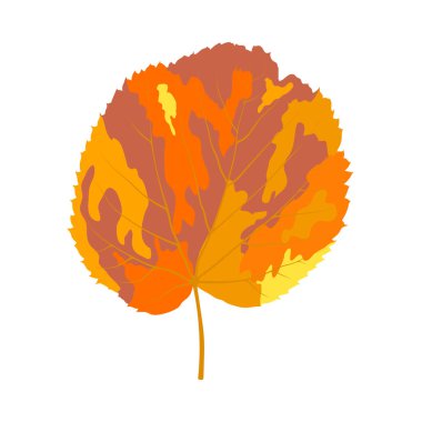 Sonbahar ıhlamur yaprağı. Yaprak düştü. Vektör illüstrasyonu.