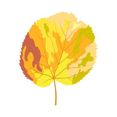Sonbahar ıhlamur yaprağı. Yaprak düştü. Vektör illüstrasyonu.