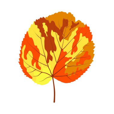 Sonbahar ıhlamur yaprağı. Yaprak düştü. Vektör illüstrasyonu.