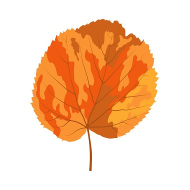 Sonbahar ıhlamur yaprağı. Yaprak düştü. Vektör illüstrasyonu.