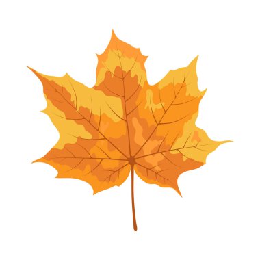 Sonbahar akçaağaç yaprağı. Yaprak düştü. Vektör illüstrasyonu.