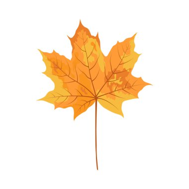 Sonbahar akçaağaç yaprağı. Yaprak düştü. Vektör illüstrasyonu.
