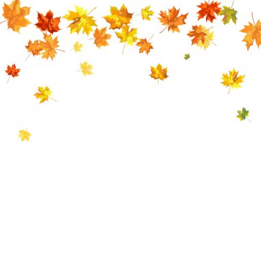 Blowing Maple 'ın Beyaz Arkaplanda Bıraktığı Sonbahar Çerçevesi. Zarif Tasarım. Vektör İllüstrasyonu.