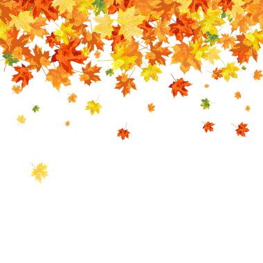 Blowing Maple 'ın Beyaz Arkaplanda Bıraktığı Sonbahar Çerçevesi. Zarif Tasarım. Vektör İllüstrasyonu.