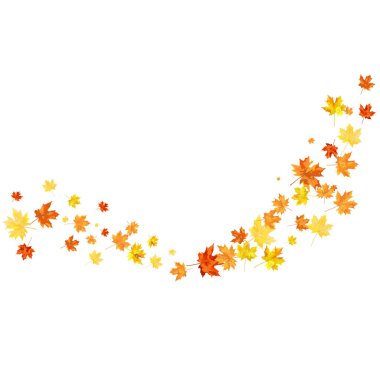 Blowing Maple 'ın Beyaz Arkaplanda Bıraktığı Sonbahar Çerçevesi. Zarif Tasarım. Vektör İllüstrasyonu.