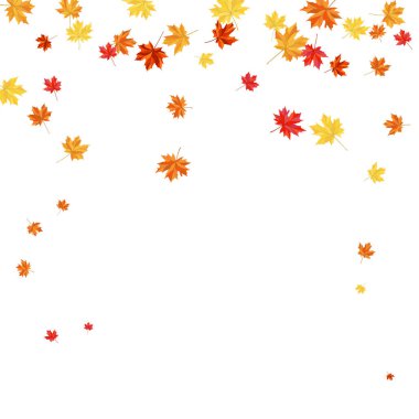 Blowing Maple 'ın Beyaz Arkaplanda Bıraktığı Sonbahar Çerçevesi. Zarif Tasarım. Vektör İllüstrasyonu.