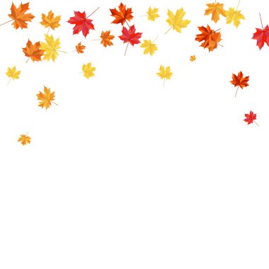 Blowing Maple 'ın Beyaz Arkaplanda Bıraktığı Sonbahar Çerçevesi. Zarif Tasarım. Vektör İllüstrasyonu.