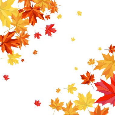 Blowing Maple 'ın Beyaz Arkaplanda Bıraktığı Sonbahar Çerçevesi. Zarif Tasarım. Vektör İllüstrasyonu.