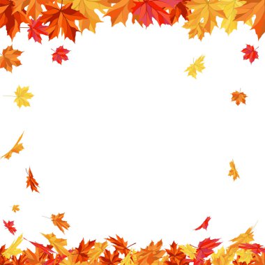 Blowing Maple 'ın Beyaz Arkaplanda Bıraktığı Sonbahar Çerçevesi. Zarif Tasarım. Vektör İllüstrasyonu.