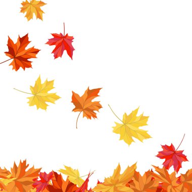 Blowing Maple 'ın Beyaz Arkaplanda Bıraktığı Sonbahar Çerçevesi. Zarif Tasarım. Vektör İllüstrasyonu.