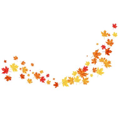 Blowing Maple 'ın Beyaz Arkaplanda Bıraktığı Sonbahar Çerçevesi. Zarif Tasarım. Vektör İllüstrasyonu.