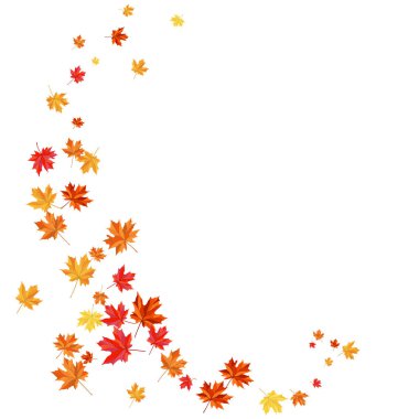 Blowing Maple 'ın Beyaz Arkaplanda Bıraktığı Sonbahar Çerçevesi. Zarif Tasarım. Vektör İllüstrasyonu.