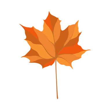 Sonbahar akçaağaç yaprağı. Yaprak düştü. Vektör illüstrasyonu.