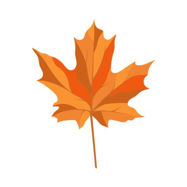 Sonbahar akçaağaç yaprağı. Yaprak düştü. Vektör illüstrasyonu.