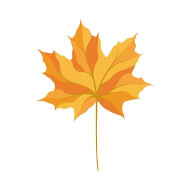 Sonbahar akçaağaç yaprağı. Yaprak düştü. Vektör illüstrasyonu.