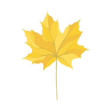 Sonbahar akçaağaç yaprağı. Yaprak düştü. Vektör illüstrasyonu.