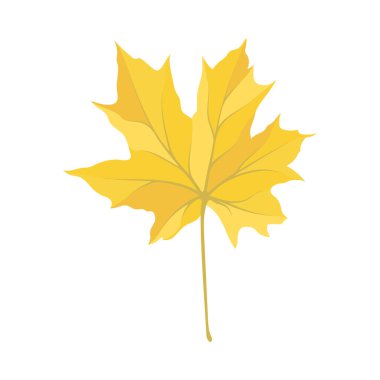 Sonbahar akçaağaç yaprağı. Yaprak düştü. Vektör illüstrasyonu.