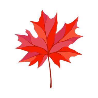 Sonbahar akçaağaç yaprağı. Yaprak düştü. Vektör illüstrasyonu.