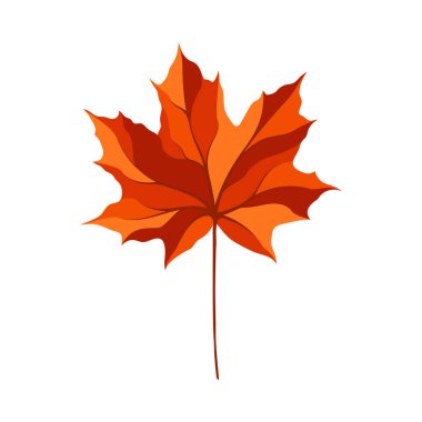 Sonbahar akçaağaç yaprağı. Yaprak düştü. Vektör illüstrasyonu.