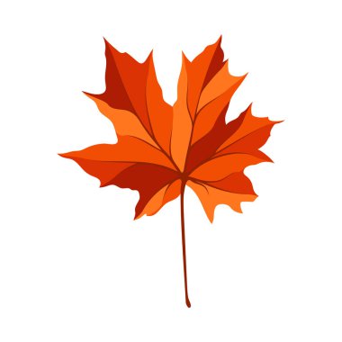 Sonbahar akçaağaç yaprağı. Yaprak düştü. Vektör illüstrasyonu.