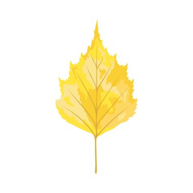 Sonbahar huş ağacı yaprağı. Yaprak düştü. Vektör illüstrasyonu.