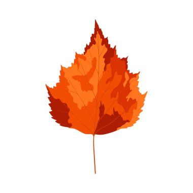 Sonbahar huş ağacı yaprağı. Yaprak düştü. Vektör illüstrasyonu.