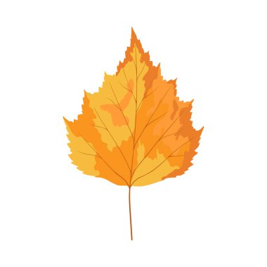 Sonbahar huş ağacı yaprağı. Yaprak düştü. Vektör illüstrasyonu.