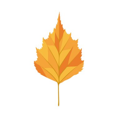 Sonbahar huş ağacı yaprağı. Yaprak düştü. Vektör illüstrasyonu.