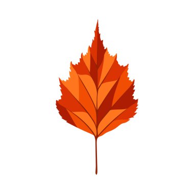 Sonbahar huş ağacı yaprağı. Yaprak düştü. Vektör illüstrasyonu.