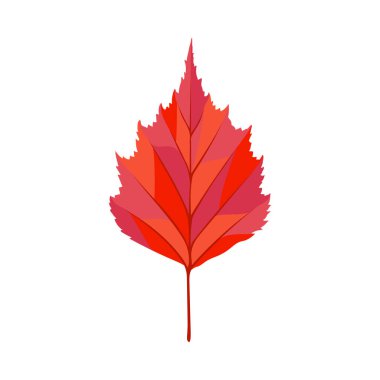 Sonbahar huş ağacı yaprağı. Yaprak düştü. Vektör illüstrasyonu.