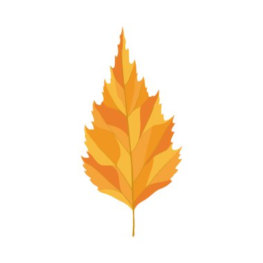 Sonbahar huş ağacı yaprağı. Yaprak düştü. Vektör illüstrasyonu.