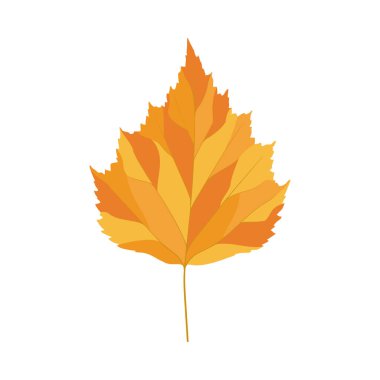 Sonbahar huş ağacı yaprağı. Yaprak düştü. Vektör illüstrasyonu.