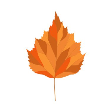 Sonbahar huş ağacı yaprağı. Yaprak düştü. Vektör illüstrasyonu.