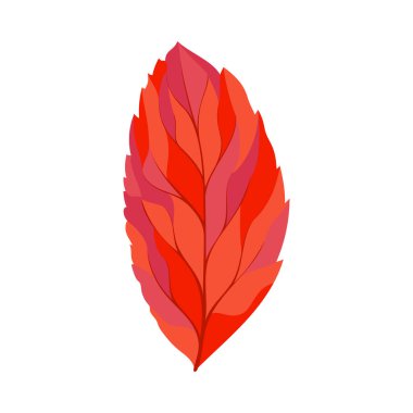 Sonbahar dişbudak ağacı yaprağı. Yaprak düştü. Vektör illüstrasyonu.