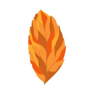 Sonbahar dişbudak ağacı yaprağı. Yaprak düştü. Vektör illüstrasyonu.