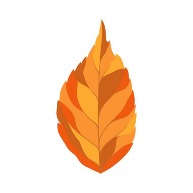 Sonbahar dişbudak ağacı yaprağı. Yaprak düştü. Vektör illüstrasyonu.