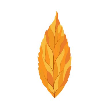 Sonbahar dişbudak ağacı yaprağı. Yaprak düştü. Vektör illüstrasyonu.