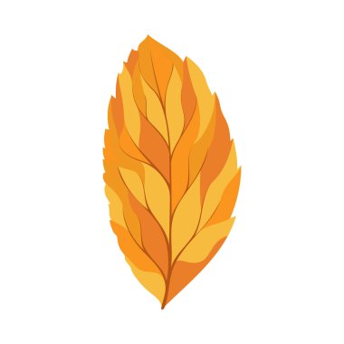 Sonbahar dişbudak ağacı yaprağı. Yaprak düştü. Vektör illüstrasyonu.