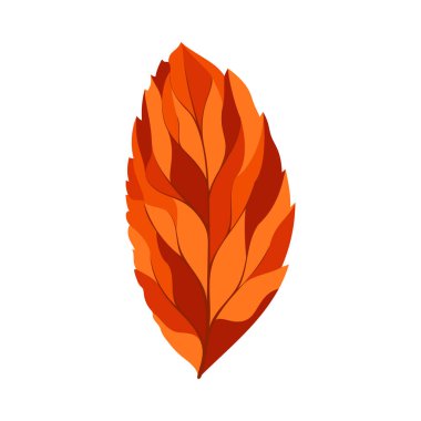 Sonbahar dişbudak ağacı yaprağı. Yaprak düştü. Vektör illüstrasyonu.