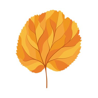 Sonbahar ıhlamur yaprağı. Yaprak düştü. Vektör illüstrasyonu.