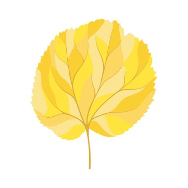 Sonbahar ıhlamur yaprağı. Yaprak düştü. Vektör illüstrasyonu.