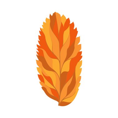 Autumn Rowan yaprağı. Yaprak düştü. Vektör illüstrasyonu.