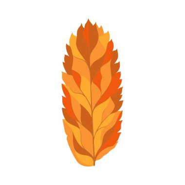 Autumn Rowan yaprağı. Yaprak düştü. Vektör illüstrasyonu.