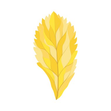 Autumn Rowan yaprağı. Yaprak düştü. Vektör illüstrasyonu.