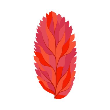 Autumn Rowan yaprağı. Yaprak düştü. Vektör illüstrasyonu.