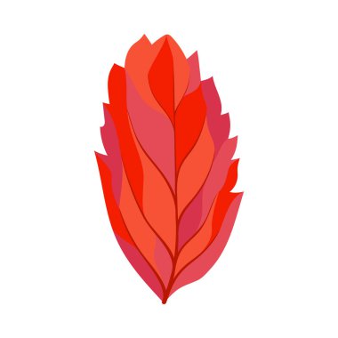 Autumn Rowan yaprağı. Yaprak düştü. Vektör illüstrasyonu.