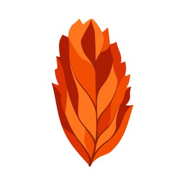 Autumn Rowan yaprağı. Yaprak düştü. Vektör illüstrasyonu.